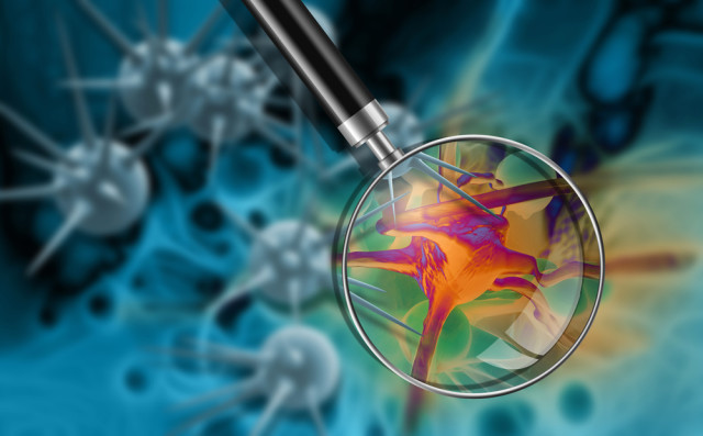 Kanser Hücresi ‘Gözaltı’na Alınıyor!