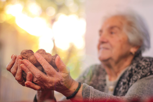 Günlük Beslenmede Ceviz, Bireylerin Kilosunu Etkilemiyor