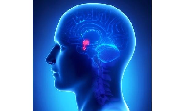 Prof. Dr. Keleştemur: Baş Ağrısı Geçmiyorsa Hipofiz Tümörü Düşünülmeli