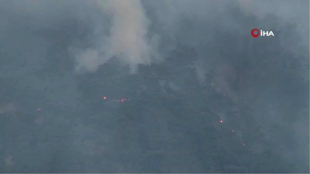 Hatay’daki orman yangına havadan müdahale tekrardan başladı