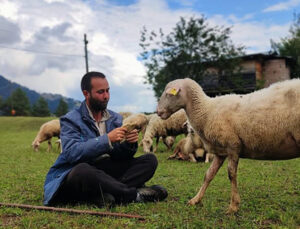 İki üniversite bitirip hayali kaymakamlık olan genç çobanlık yapmaya başladı