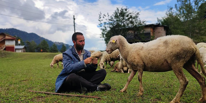 İki üniversite bitirip hayali kaymakamlık olan genç çobanlık yapmaya başladı