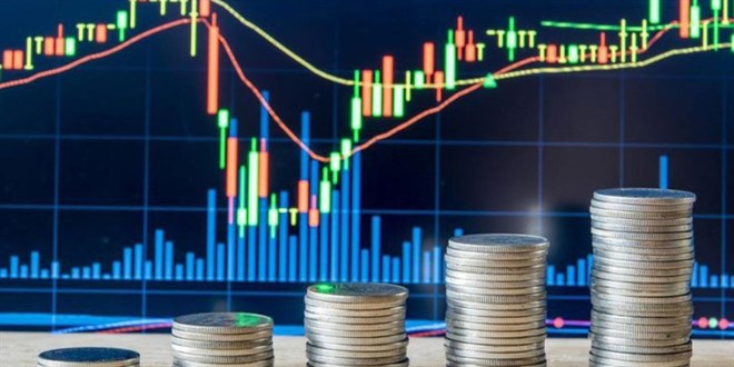 Malezya formülü gündemde! Her aileye finansal danışman