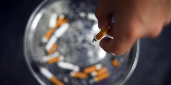 Sigara içenlerde akciğer kanseri görülme riski 30 kat daha fazla