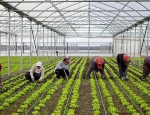 Bölgesel kalkınma için 15,6 milyar liralık yatırım yapılacak