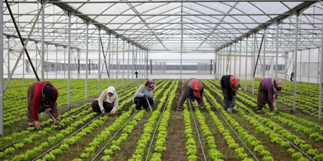 Bölgesel kalkınma için 15,6 milyar liralık yatırım yapılacak