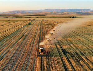 Tarımda takviye paketi netleşti: Planlı üretim yapanın mazotu devletten!