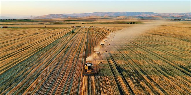 Tarımda takviye paketi netleşti: Planlı üretim yapanın mazotu devletten!