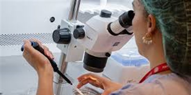 CİMER’e Yapılan İhbar ile Bir Özel Hastanedeki Yetkisiz Embriyolog Skandalı Açığa Çıkarıldı