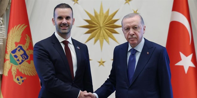 Cumhurbaşkanı Erdoğan, Karadağ Başbakanı Spajic’i kabul etti